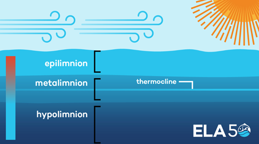 Coftec - Layers of water stratification and impact on Manganese (Mn) in water and its removal