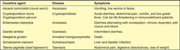 Figure 4 - Waterborne diseases caused by Protozoa