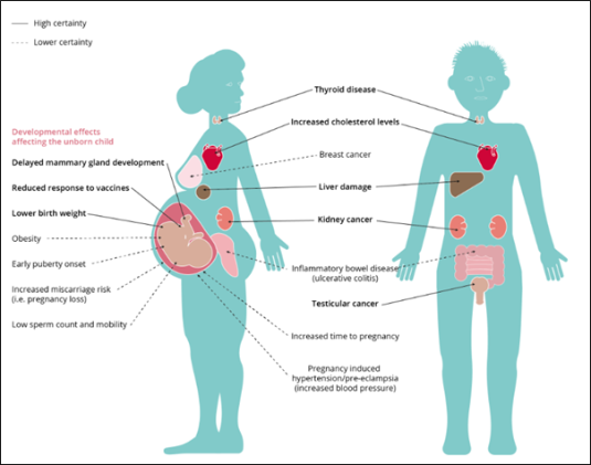 Effects of PFAS on human health